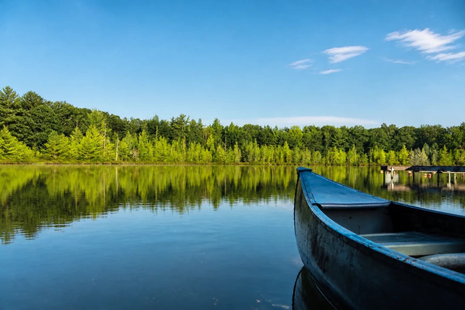 Pickerel Point, Lower Straits Lake, Michigan