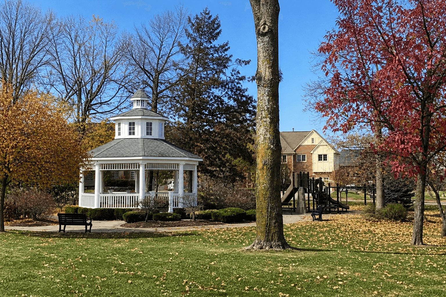 Tollgate Woods, Novi, Michigan
