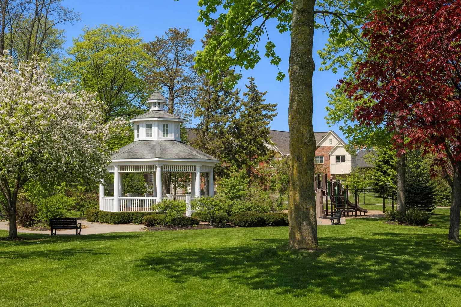 Tollgate Woods, Novi, Michigan