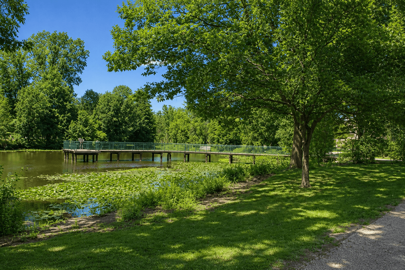 Quarton Lake, Birmingham, Michigan